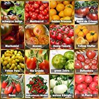 Set de Semillas de Tomate 16 x 10 semillas Tomate Mezcla 100% natural de semillas recogidas a mano de Portugal…